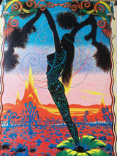 Load image into Gallery viewer, 1970s Psychedelic Desert Poster
