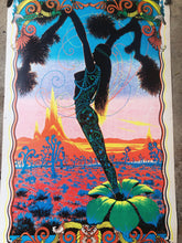 Load image into Gallery viewer, 1970s Psychedelic Desert Poster
